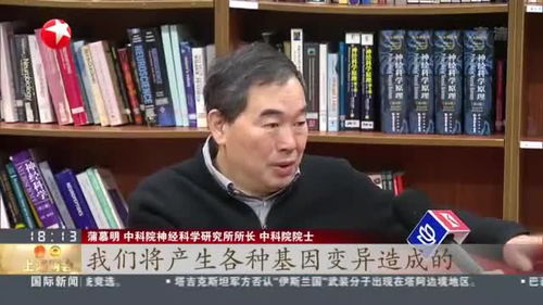 斌这个字怎么读