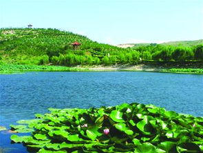 李沧区天气预报24小时详情，青岛李沧区天气预报