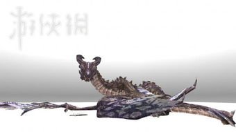 龙种是什么意思，龙种金鱼