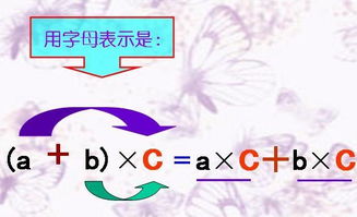 乘法的结合律,乘法分配律是什么意思呢?