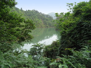 东莞清溪古镇八个景点