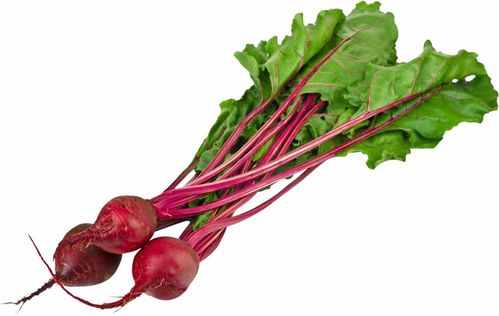 Beet中文是什么意思?