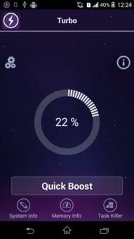 booster什么意思