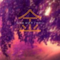 带金字旁的汉字有哪些