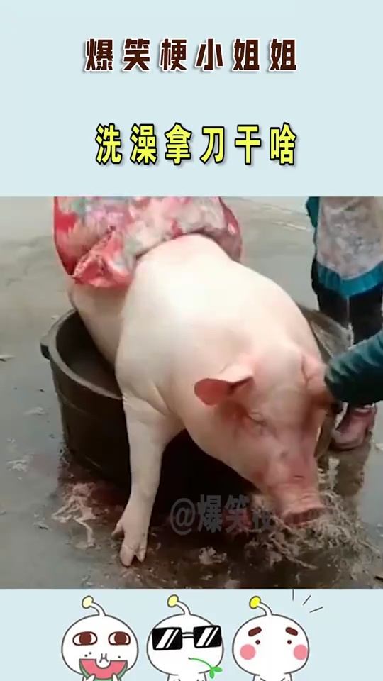 沐浴的意思是什么