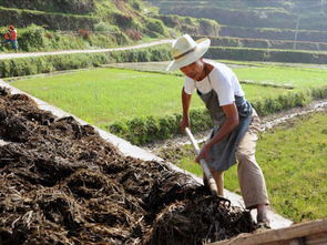 积肥是哪个季节的农事活动，积肥的拼音