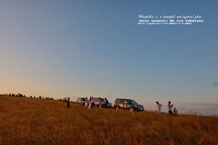 山岗有虎不见猪是什么意思