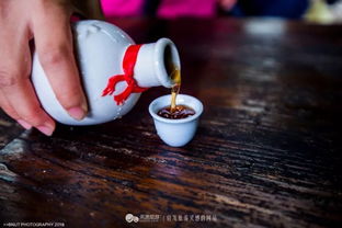 酿泉为酒的为是什么意思，酿泉为酒的下一句是什么