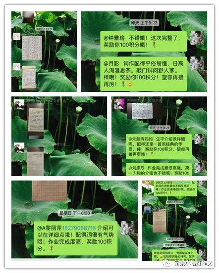 朝看水东流下一句是什么