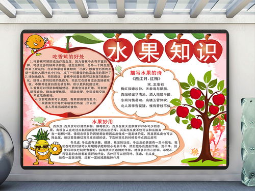 水果手抄报英语，水果手抄报模板