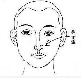 面面相什么的成语