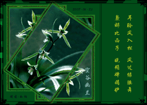 空谷幽兰是什么意思