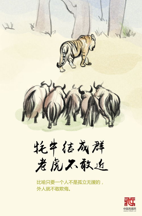 有关牛的谚语
