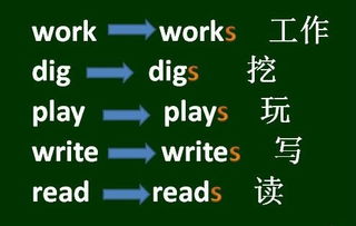 动词加s是为什么