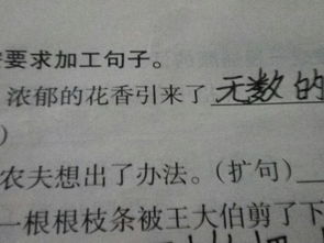 “好奇”的近义词是什么?