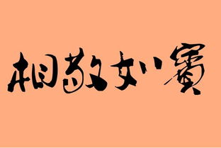 相敬如宾什么意思