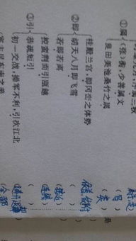 砚眼文言文翻译和注释，砚眼文言文翻译以的意思