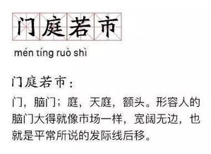 back英文怎么读?是什么意思