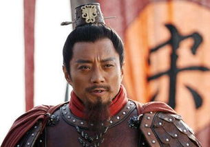 吴用人物评价20字，吴用人物评价200字