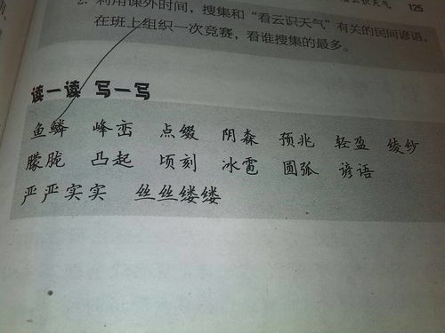 目不窥园意思解释