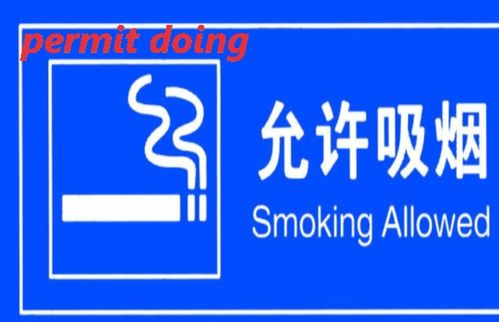 permit to do 和permit doing，permit的名词