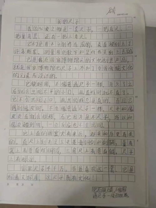 家与国作文500字，家与国作文600