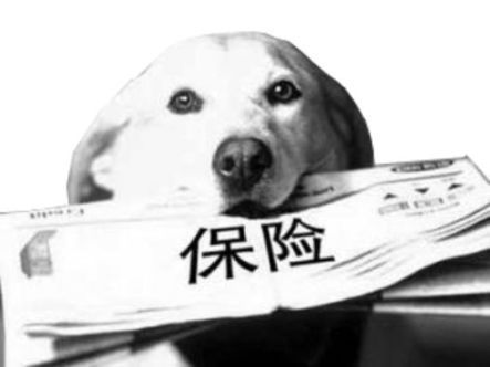 宠物保险有必要买吗，宠物保险一年多少钱