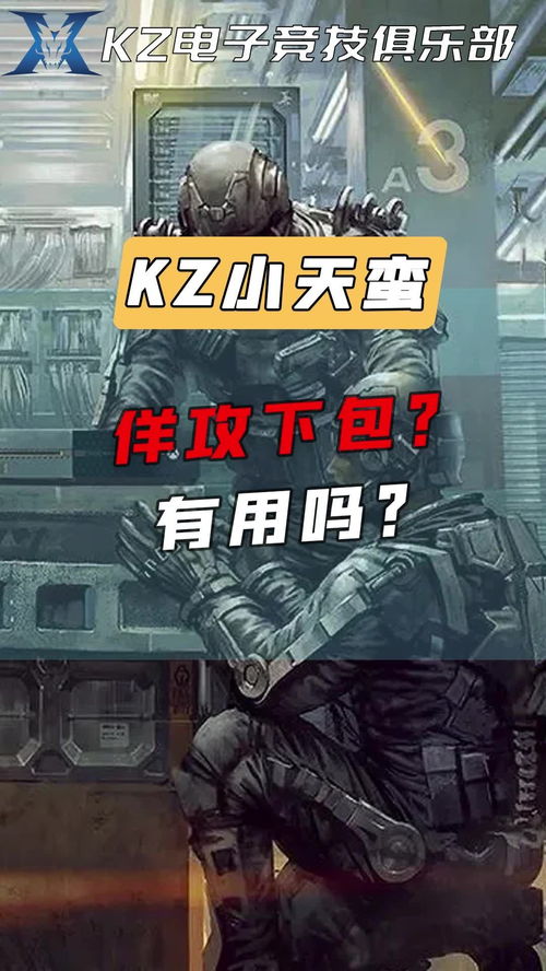 佯攻是什么意思