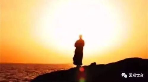 智火伴电话手表怎么调时间