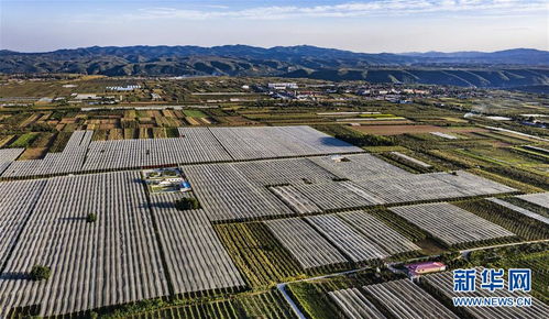 白水县有哪些旅游景点介绍 白水县有啥好玩的景区