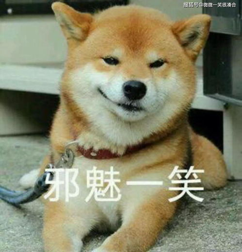 两岸猿声啼不住轻舟已过万重山全诗