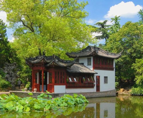 不系舟效应是什么意思?