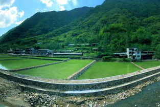 地胡和天胡的区别是什么?