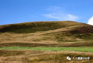 山岗上有什么动物，山岗上什么意思