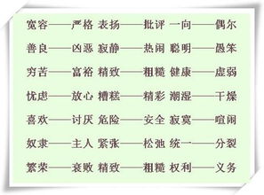 连续的近义词(要准确的答案)