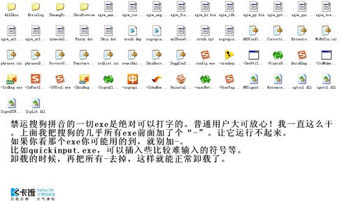 嫩拼音是什么