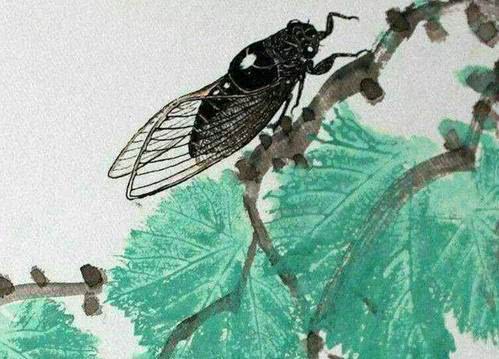 蝉的作者是谁