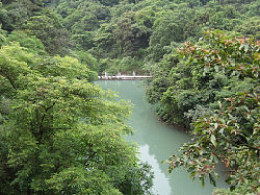 清溪森林公园海拔多少，清溪森林公园收费吗