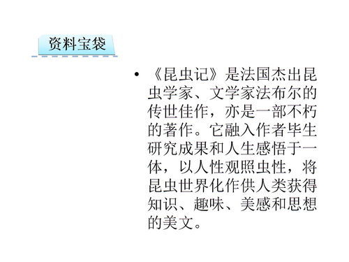 释组词有哪些词语