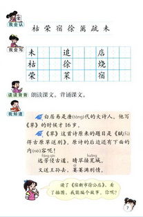 用纷纷造句二年级