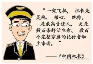 飞行员 打一成语，飞行员打一个字打一成语