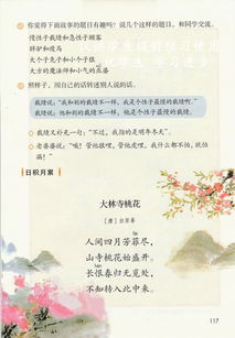 小学三年级下册语文第三课《荷花》原文、教案及教学反思