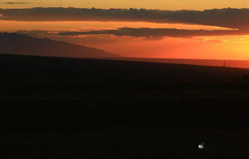 霞光里高大霞嫂子怎么死的