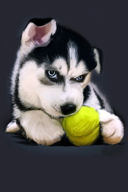 爱玩毛线球的小猫小班教案，爱玩毛线球的猫