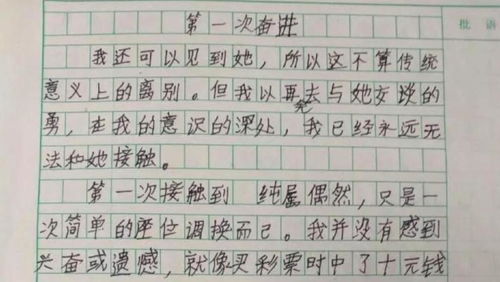 叙事高一作文600字