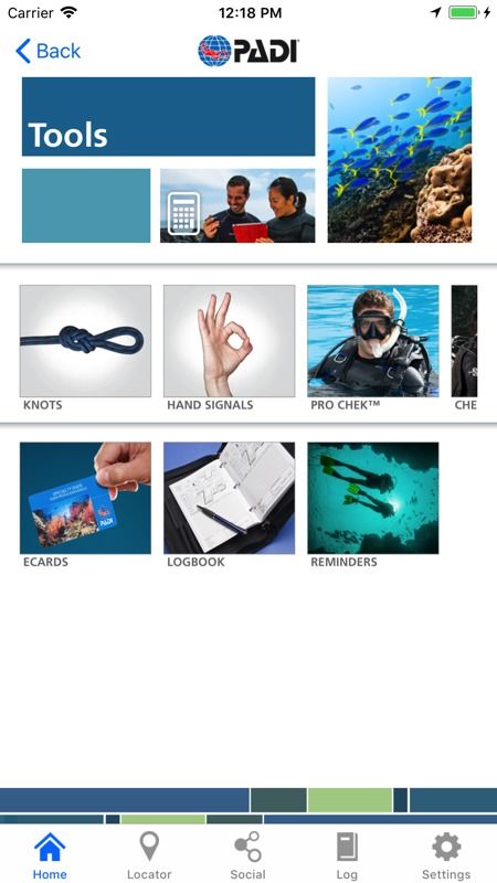 scuba diver中文是什么意思