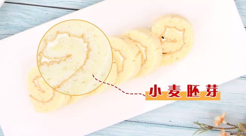 胚芽读音是什么