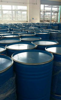 “菠”怎么组词?