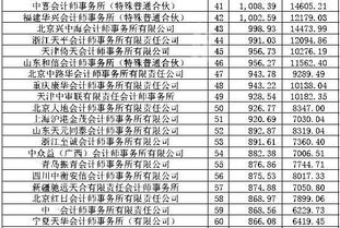 十大会计师事务所