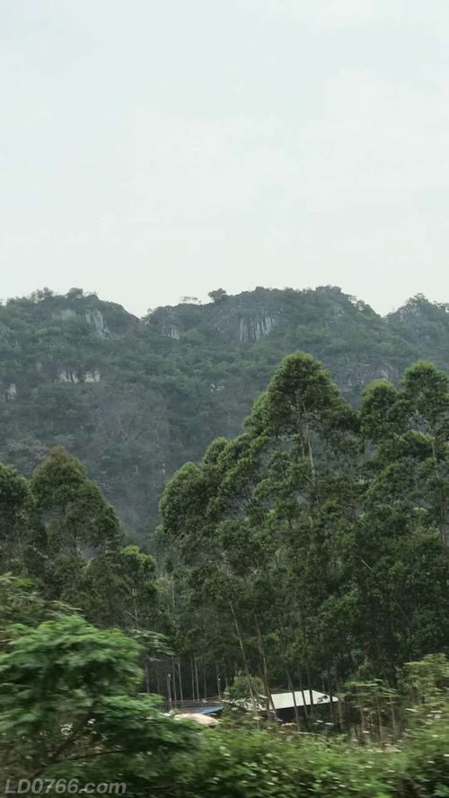 船步镇的历史沿革